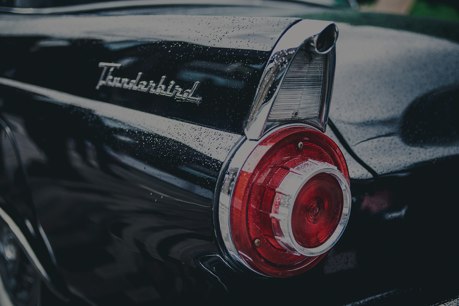 thunderbird_background